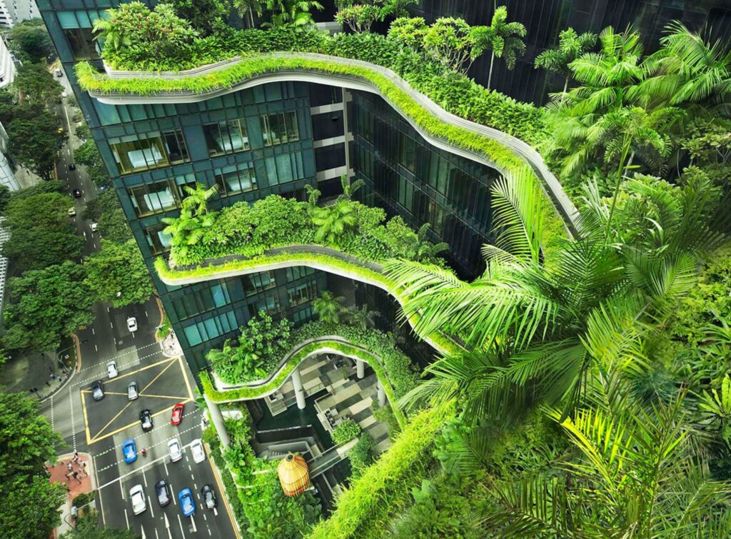 Green Hotels: Sustainable Travel Options
