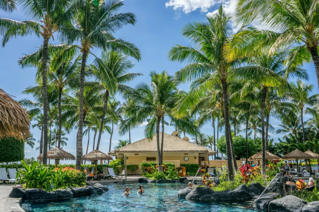 The Ultimate Guide to Eco-Friendly Hotels
